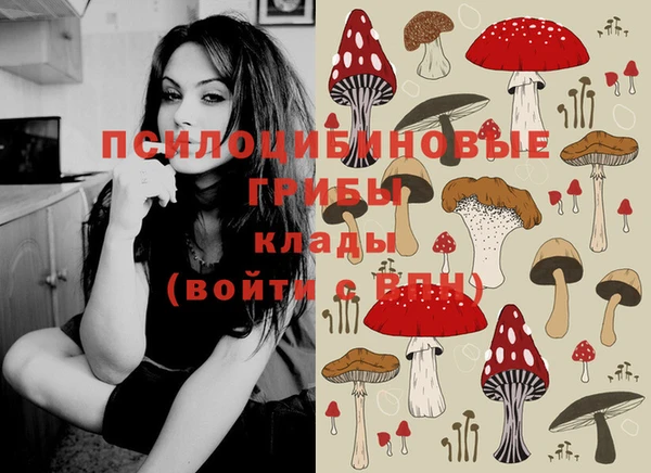 прущие крисы Богородск