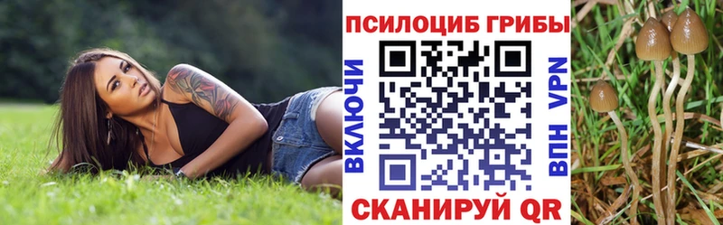 Псилоцибиновые грибы прущие грибы  Светлый 